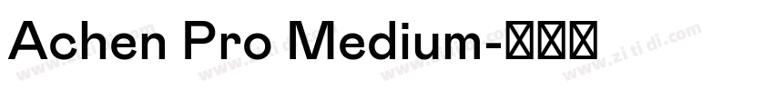 Achen Pro Medium字体转换 Achen Pro Medium字体转换